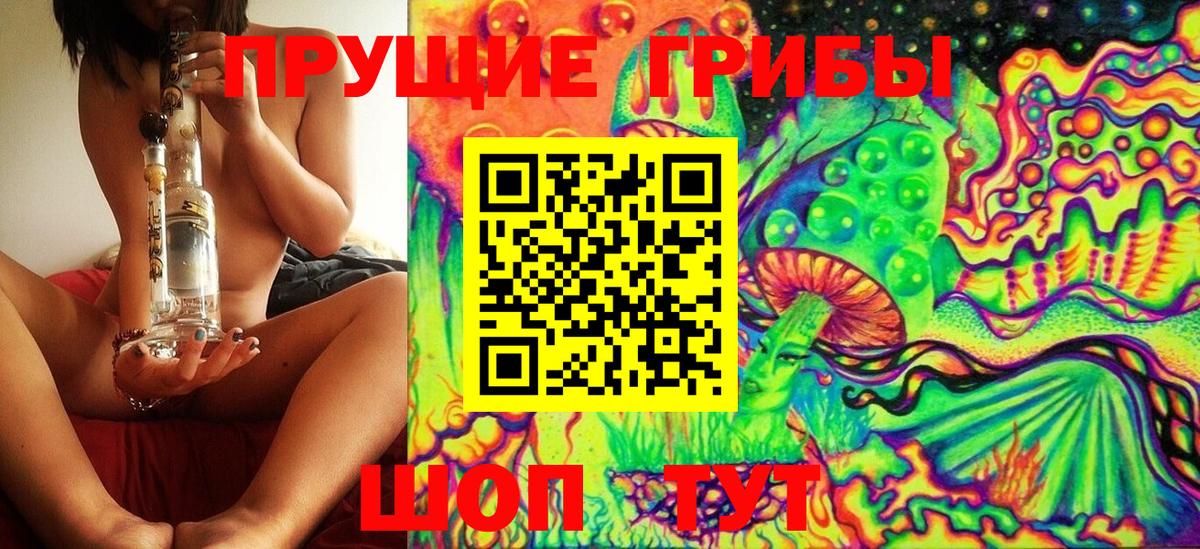 Псилоцибиновые грибы Cubensis Подольск